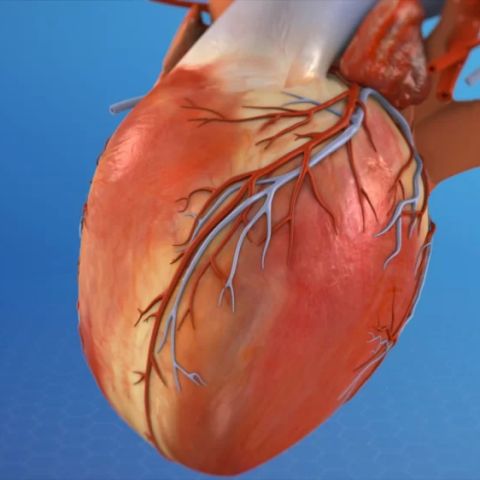 Understanding Heart Valve Diseases and Their Impact on Your Health