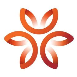 Tomoaki Hinohara, MD ico