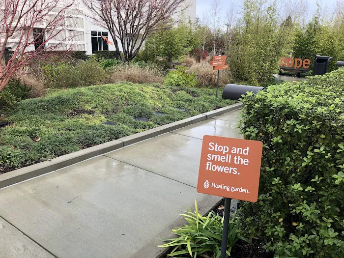 Dignity Health Sequoia Hospital 0