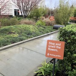 Dignity Health Sequoia Hospital ico