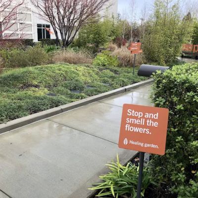 Dignity Health Sequoia Hospital