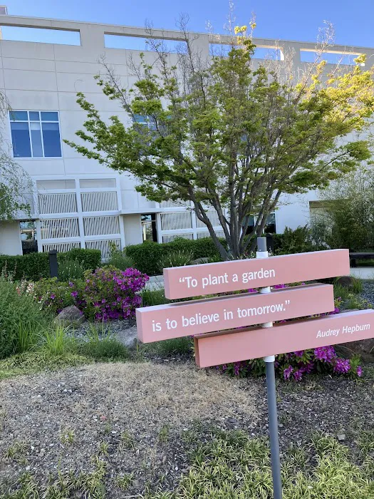 Dignity Health Sequoia Hospital 2