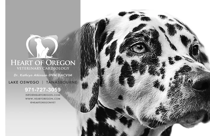 Heart of Oregon Veterinary Cardiology 1