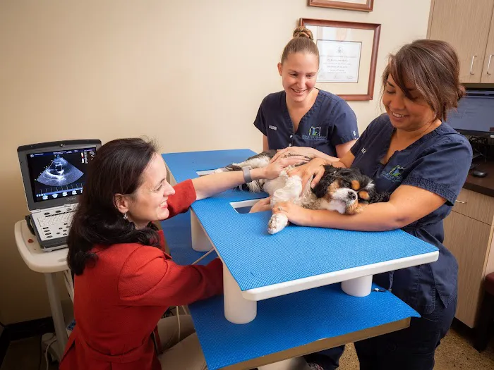 Heart of Oregon Veterinary Cardiology 9