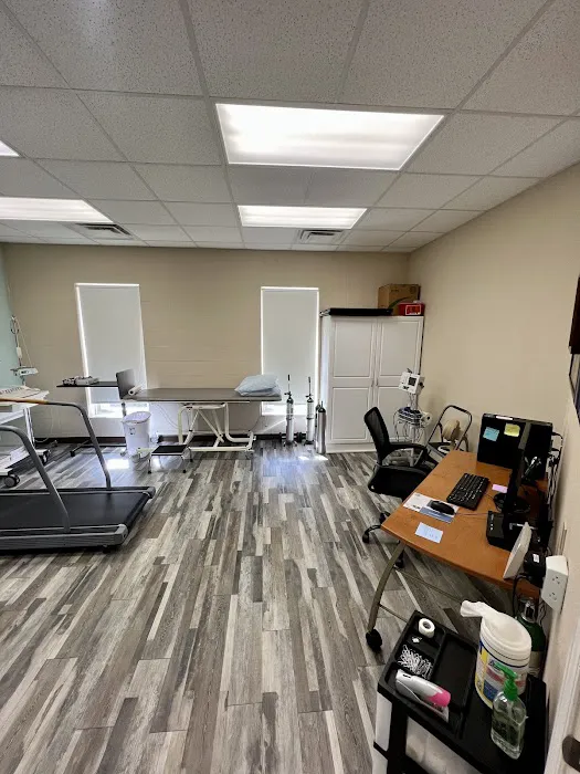 The Heart Clinic 5