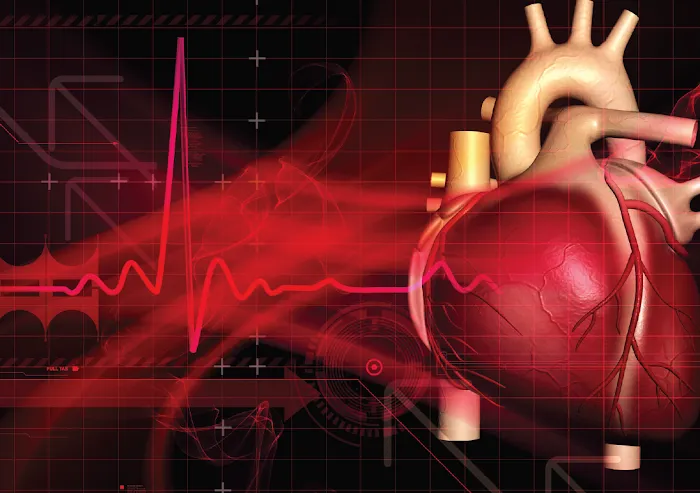 Glenwood Heart and Vascular 3