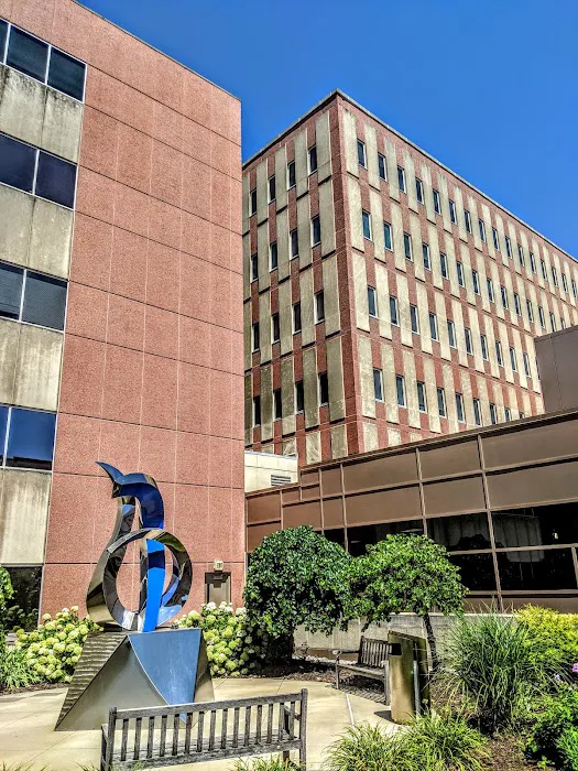 Saint Luke's Cardiovascular Consultants-Plaza 0