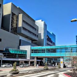 The University of Kansas Hospital Cardiology ico