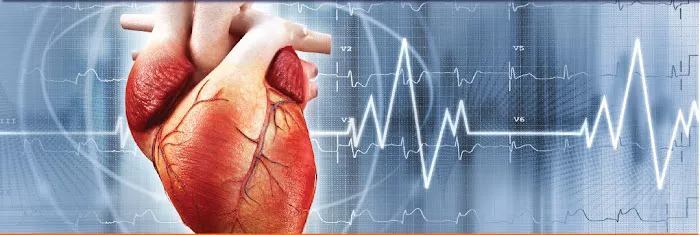 Heart Cardiology Consultants P.C. 4