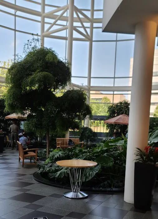 Cardiology Clinic at U-M Frankel Cardiovascular Center 4