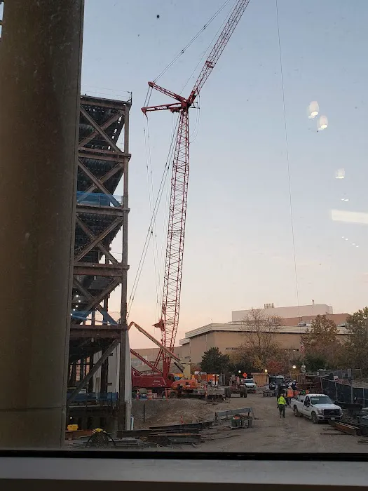 UofM Cardiovascular Center, 8