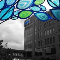 DMC Heart Hospital