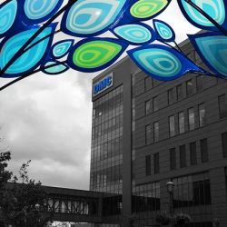 DMC Heart Hospital ico