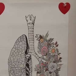 Heart & Vascular Institute ico