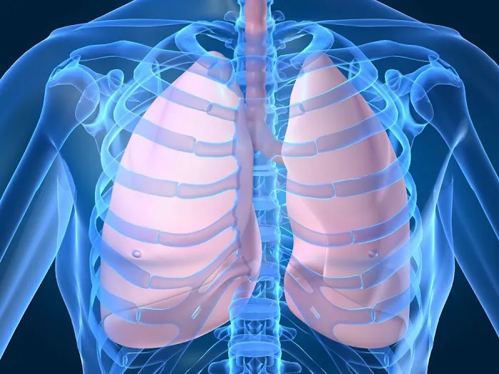 Elliot Servais, MD, FACS - Thoracic Surgery 0