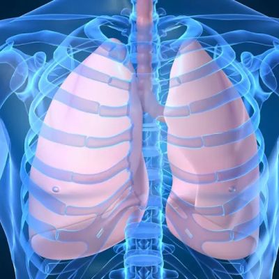 Elliot Servais, MD, FACS - Thoracic Surgery