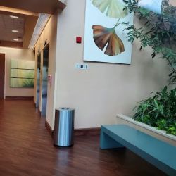 Cardiology - Heart Institute at Medical Plaza One ico