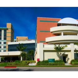 Cardiothoracic Surgery - Heart Institute at Shipley Cardiothoracic ico