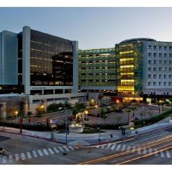 Cedars-Sinai Vascular Surgery ico
