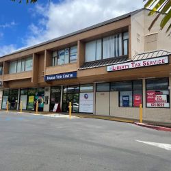 Heart and Vein Hawaii ico