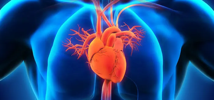 The Woodlands Heart & Vascular Center 0