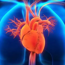 The Woodlands Heart & Vascular Center ico