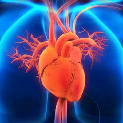 The Woodlands Heart & Vascular Center