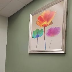 Cyfair Heart & Vascular Center ico