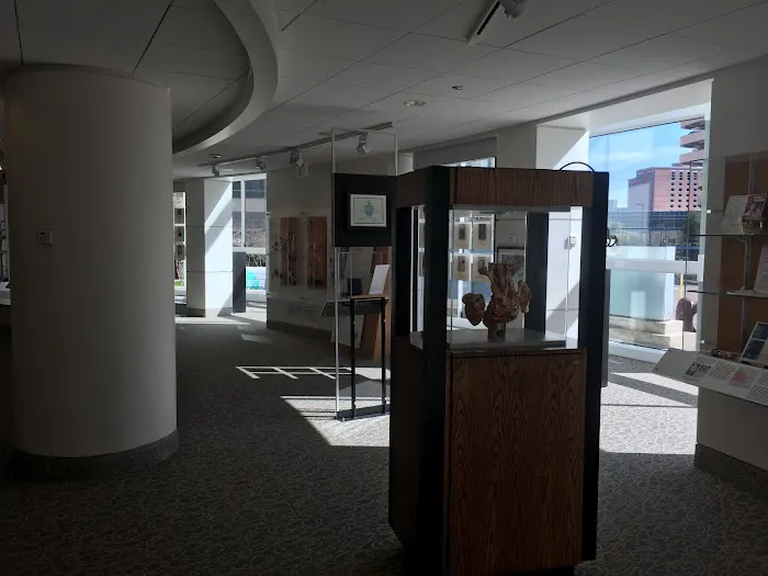 The Texas Heart Institute 7