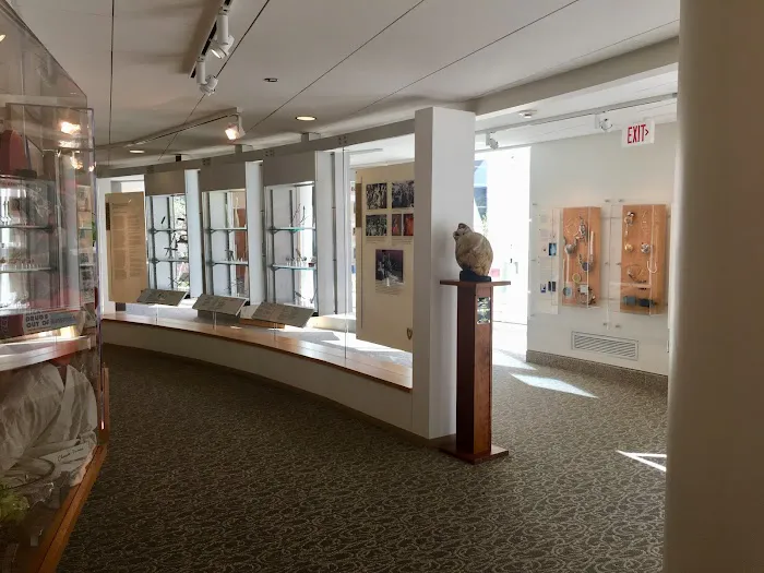 The Texas Heart Institute 2