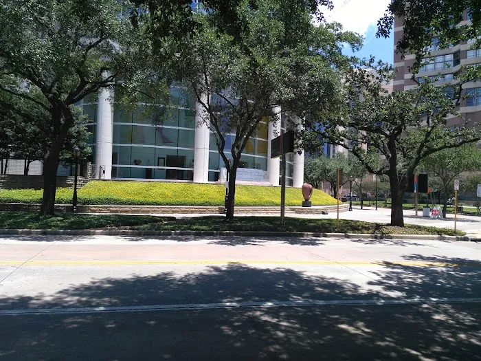 The Texas Heart Institute 4