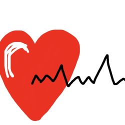Cardiac Rhythm Specialists, PA - Amir Azeem, MD, MS ico