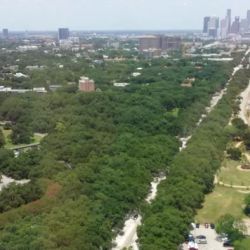 UT Physicians Pediatric Center Cardiology - Texas Medical Center ico