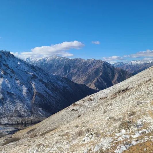 Stephen Rechenmacher MD