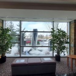 Urgent Care | Vancouver Clinic 87th Avenue ico