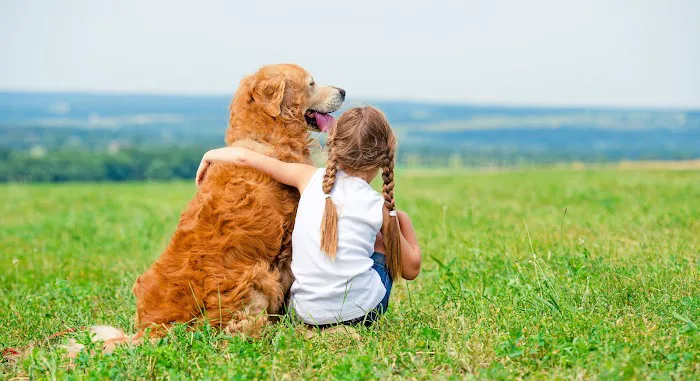 CVCA Cardiac Care For Pets 7