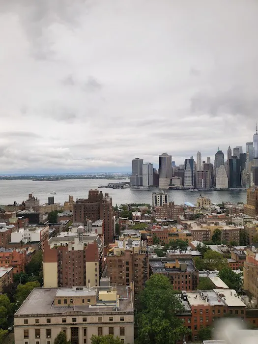 Mount Sinai Doctors Brooklyn Heights 3