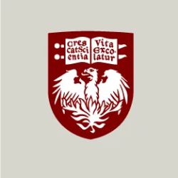 Rishi Arora MBBS ico