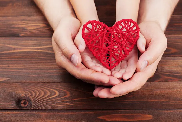 Wasatch Pediatric Cardiology 0