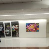 Washington University and Barnes-Jewish Heart & Vascular Center