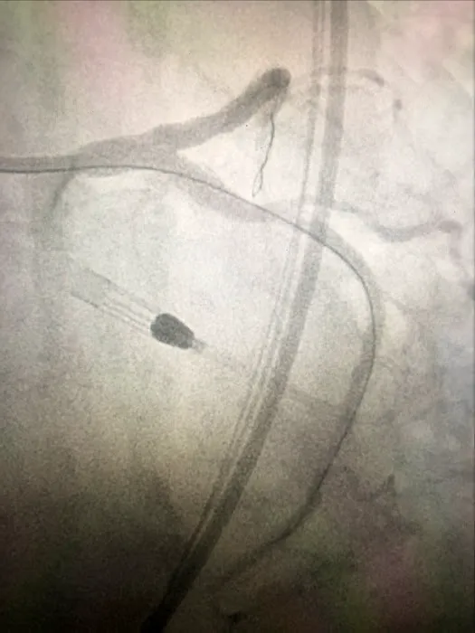 Gus Theodos, MD 2