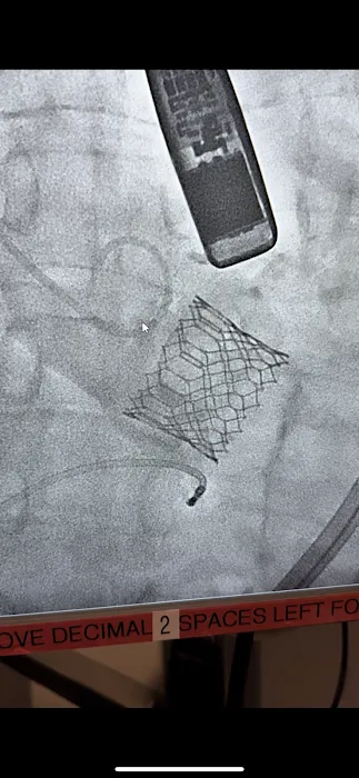 Gus Theodos, MD 7