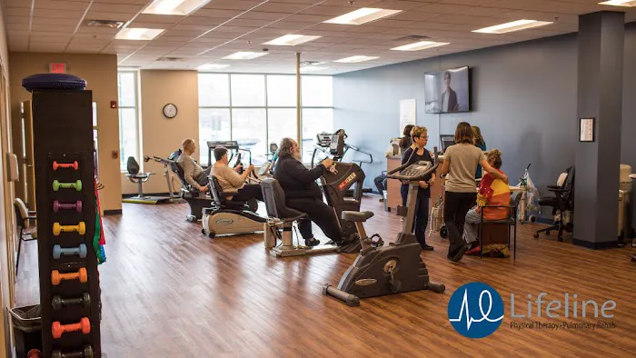 Lifeline Physical Therapy - Monroeville 6