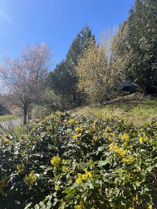 Swedish Emergency Room - Issaquah 8