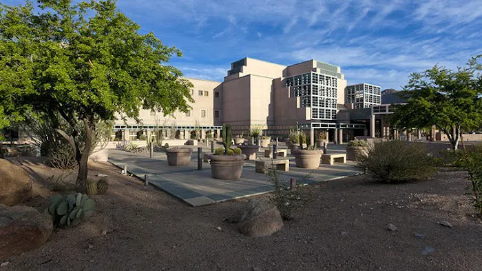 Mayo Clinic Cardiac Surgery 1