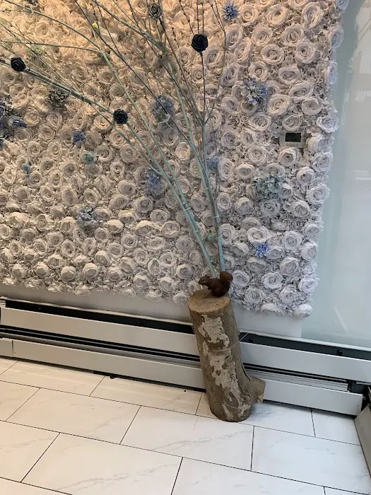 HeartVeinNYC 3