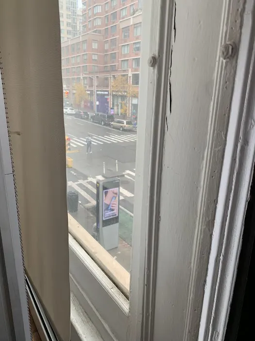 HeartVeinNYC 2