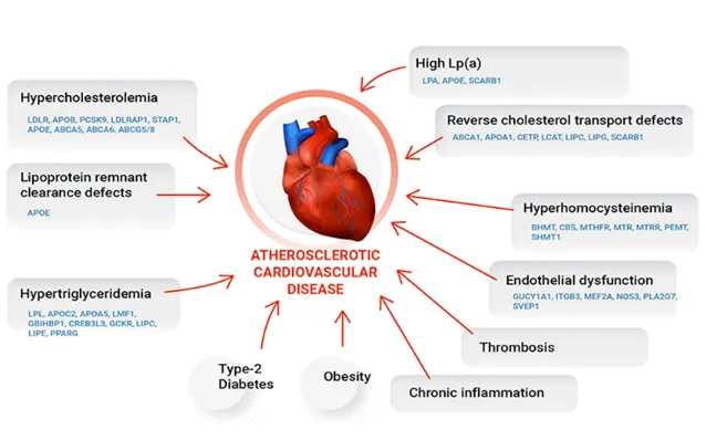 Holistic Heart Centers 0