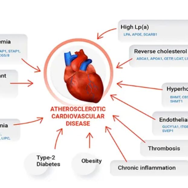 Holistic Heart Centers