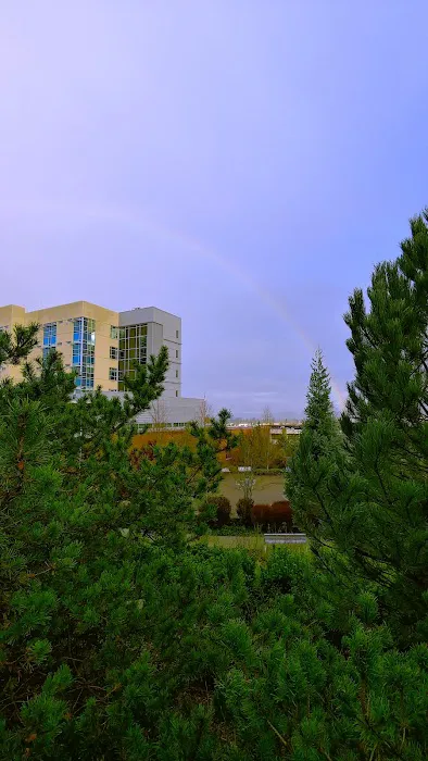 MultiCare Good Samaritan Hospital 4